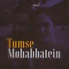 About Tumse Mohabbatein Song
