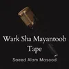 About Wark Sha Mayantoob Tape Song