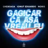 About Gacicar că așa vreau eu Song