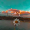 Destiny