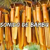Melodia de bambu y guitarra.