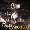 About Bogata garderoba Song