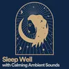 Sleep Well with Calming Ambient Sounds, Pt. 17