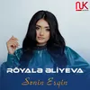 About Sənin Eşqin Song