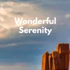 About Wonderful Serenity Song