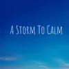 A Storm To Calm