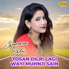 About Tosan Dilri Lagi Wayi Muhnji Sain Song