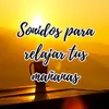 sonidos relajantes para la mente