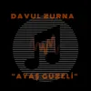 About Avşar Güzeli Davul Zurna Song