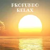 About Profundo Relax Song