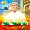Nabi Nal Pyar