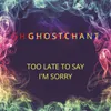 About Too Late To Say I'm Sorry Song