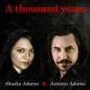 About A Thousand Years Song