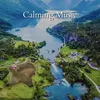 About Calming Music Song