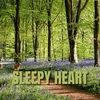 About Sleepy Heart Song