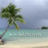 About Son silencieux Song