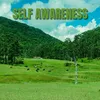 About Self Awareness Song