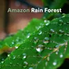 Amazon Forest Rain