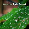 About Falling Rain Song