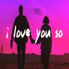 About I Love You So Song