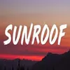 About Sunroof Song