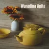 About Waradina Apita Song