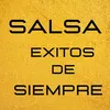 No Me Paren La Salsa