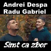 About Simt ca zbor Song