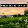 Nature sounds and music, Pt. 5