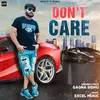 About Don't Care Song