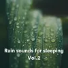 Rain sounds for sleeping, Pt. 21