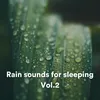 Rain sounds for sleeping, Pt. 23