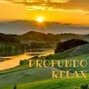 Música Para Relajarse Y Meditar