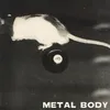 About Metal Body Song