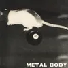 Metal Body