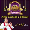 About Apne Damaan-e-Shafaat Song