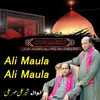 About Ali Maula Ali Maula Song