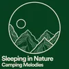 Sleeping in Nature Camping Melodies, Pt. 3