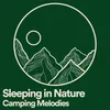 Sleeping in Nature Camping Melodies, Pt. 4