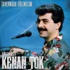 About Tren Gelir Hoş Gelir Song