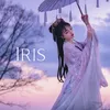 About Iris Song