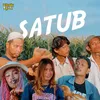 Satub