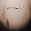 About Werewolf Song