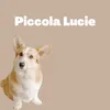 About Piccola Lucie Song