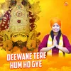 Deewane Tere Hum Ho Gye