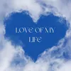 About Love of My Life Song