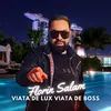 About Viata de lux viata de boss Song