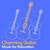 Charming Guitar Music for Relaxation, Pt. 6