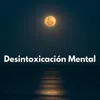 About Desintoxicación Mental Song
