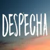 Despecha